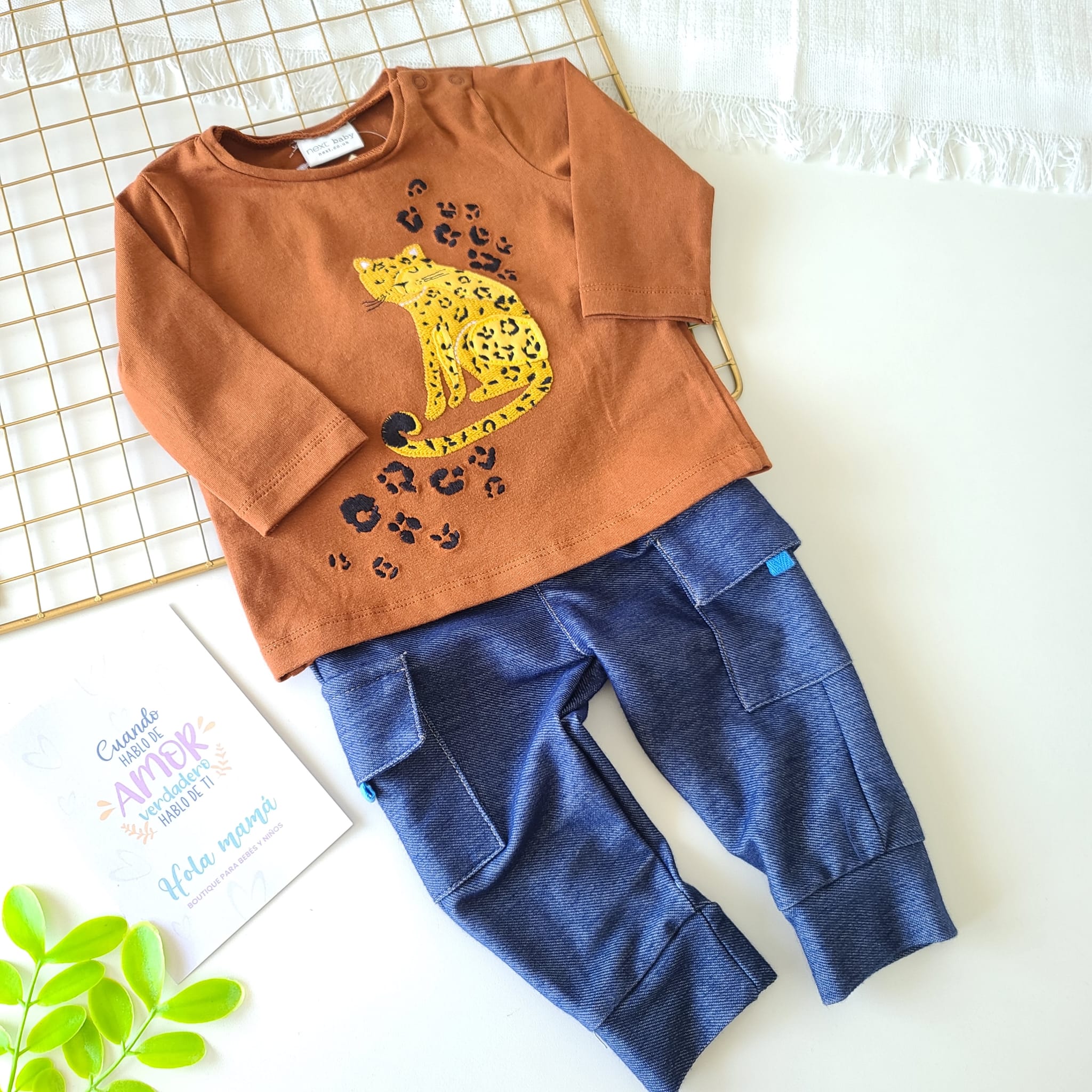 CONJUNTO ALFONSO
