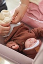 PRIMER MUDA MADISON DRALON