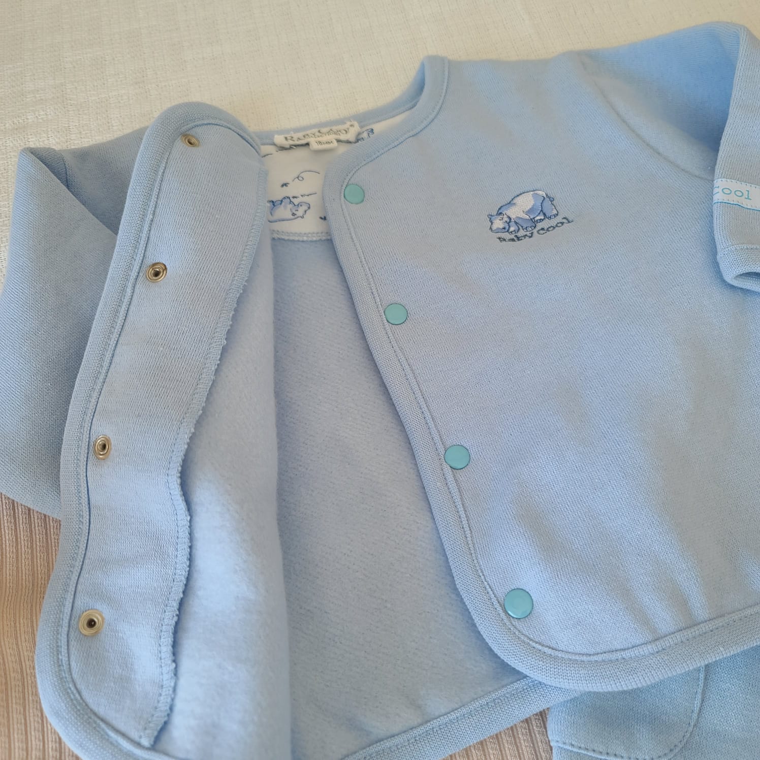 CONJUNTO HIPOPOTAMO