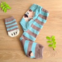 Panti + medias 