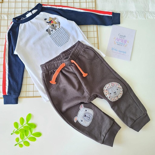 CONJUNTO DANTE