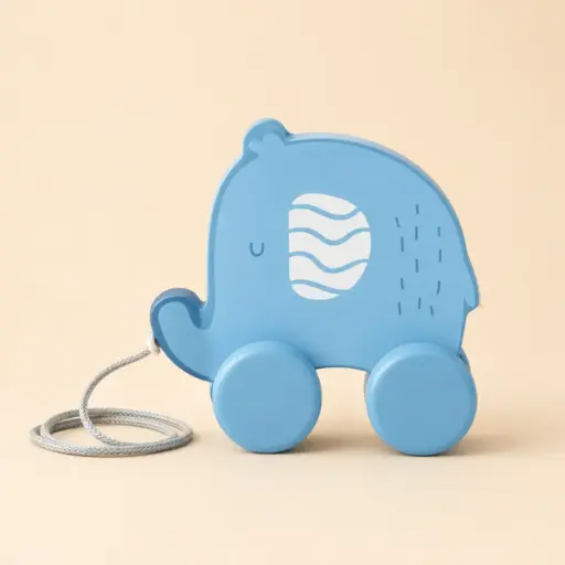 [HM-000364] JUEGO DE ARRASTRE